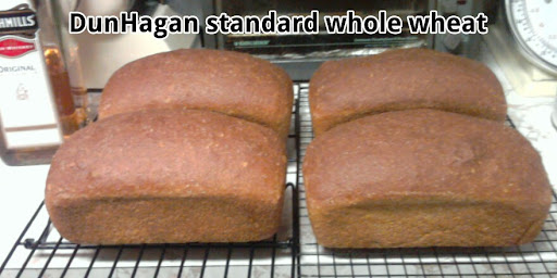 picsay-1288576273.jpg