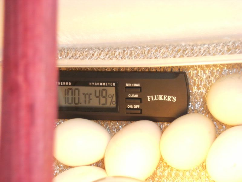 DSCF2382.jpg