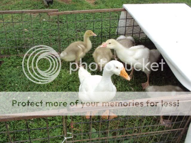 DSC00830.jpg