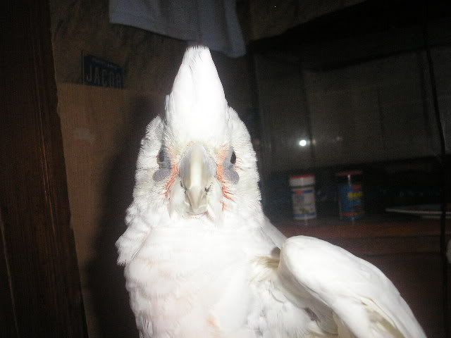 P1010047-2.jpg