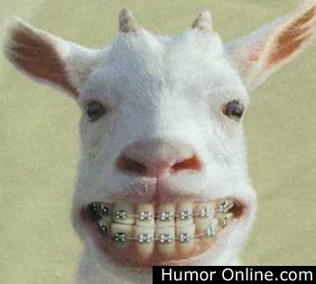 smile.jpg