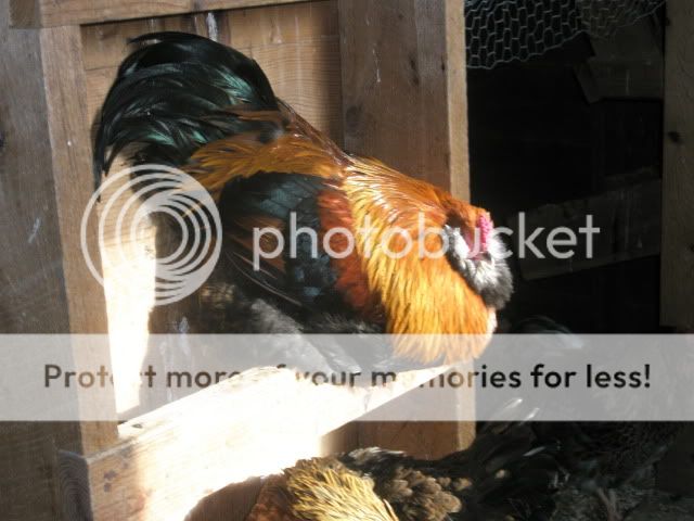 PC230813.jpg