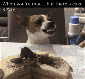 MK5jxoG.gif