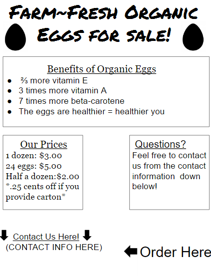 900x900px-LL-d15a82e8_chick.PNG