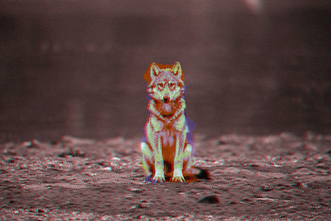 tumblr_m00wiomsrz1qbk2j1o1_500.gif