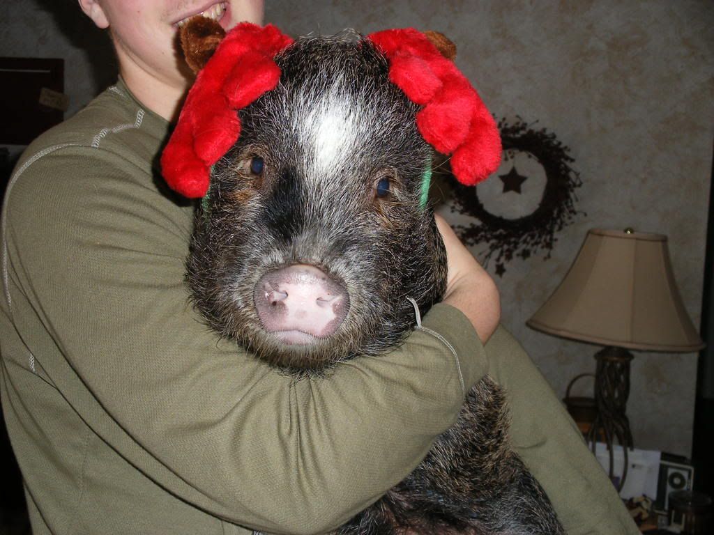 2008_12250044.jpg