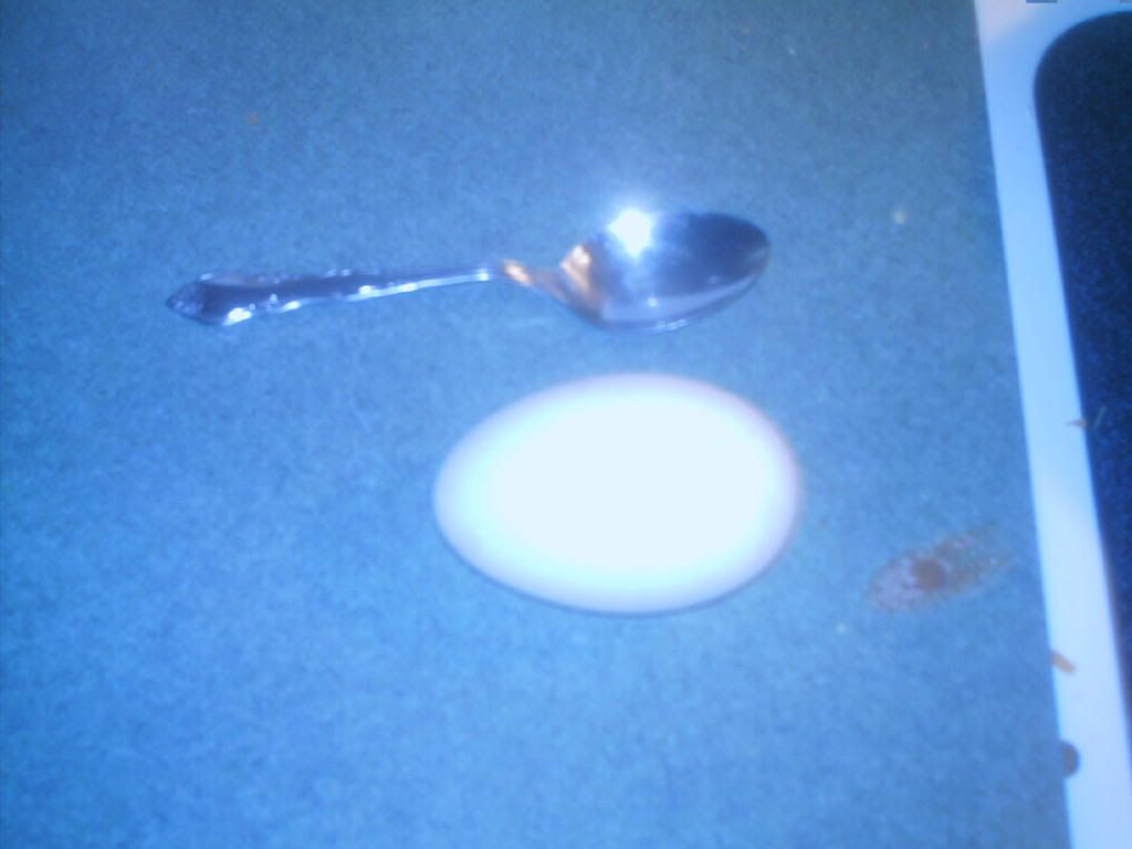 gooseegg.jpg