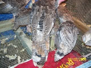 Picture009.jpg