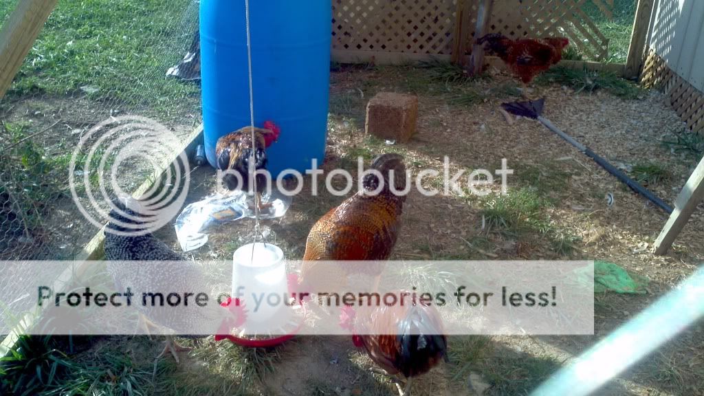 2011-08-23_18-20-23_335.jpg