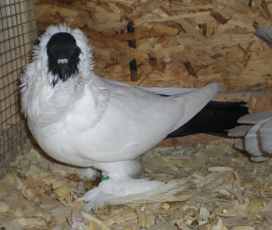 DSCN5921.jpg