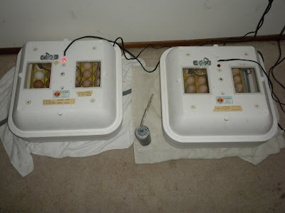 DSCN2232.JPG