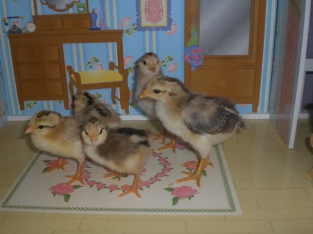 8-2babies.jpg