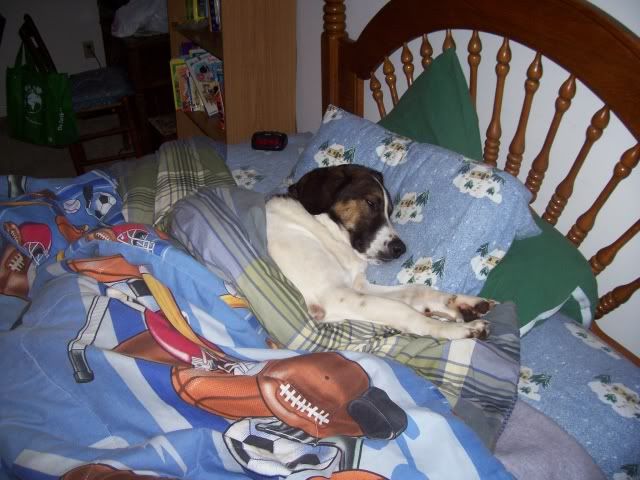 EllainBed20081113b.jpg