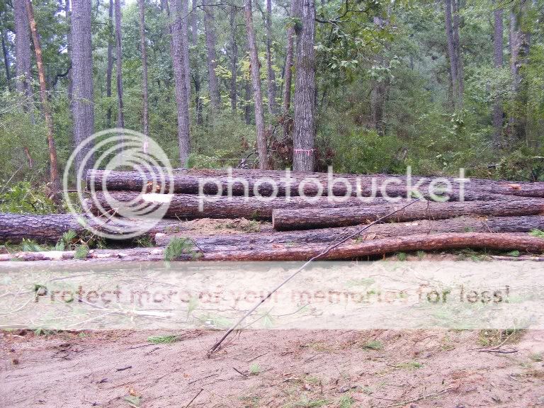 Logs090909003.jpg