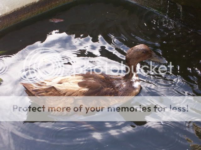 100_3199.jpg