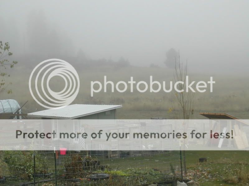DSCN4939.jpg