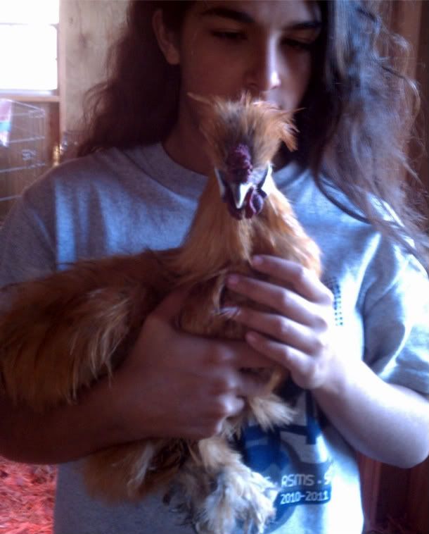 IMAG0042.jpg