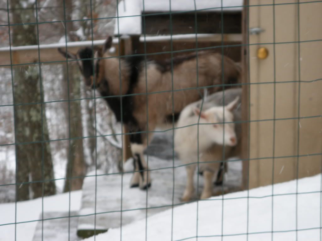 2008_12200014.jpg