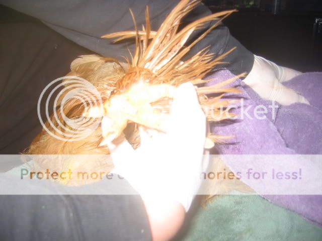 100_0010.jpg