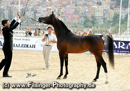 1_3y_RoyalColours_483_mento.jpg