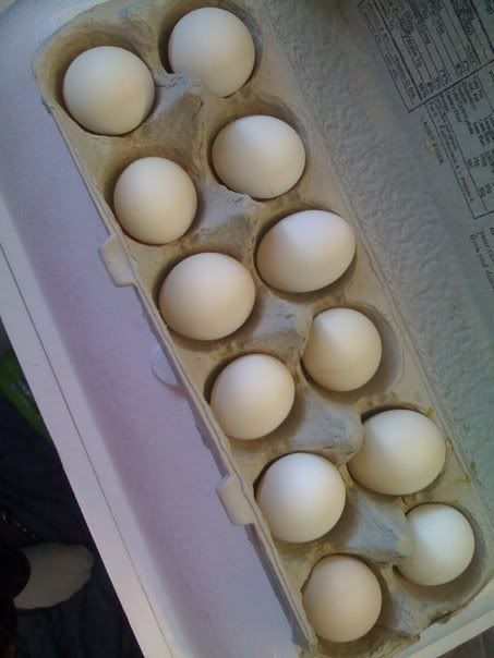 pqeggs.jpg