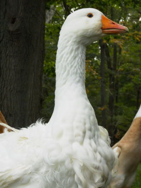 DSCN2537.jpg