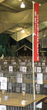 img32.jpg