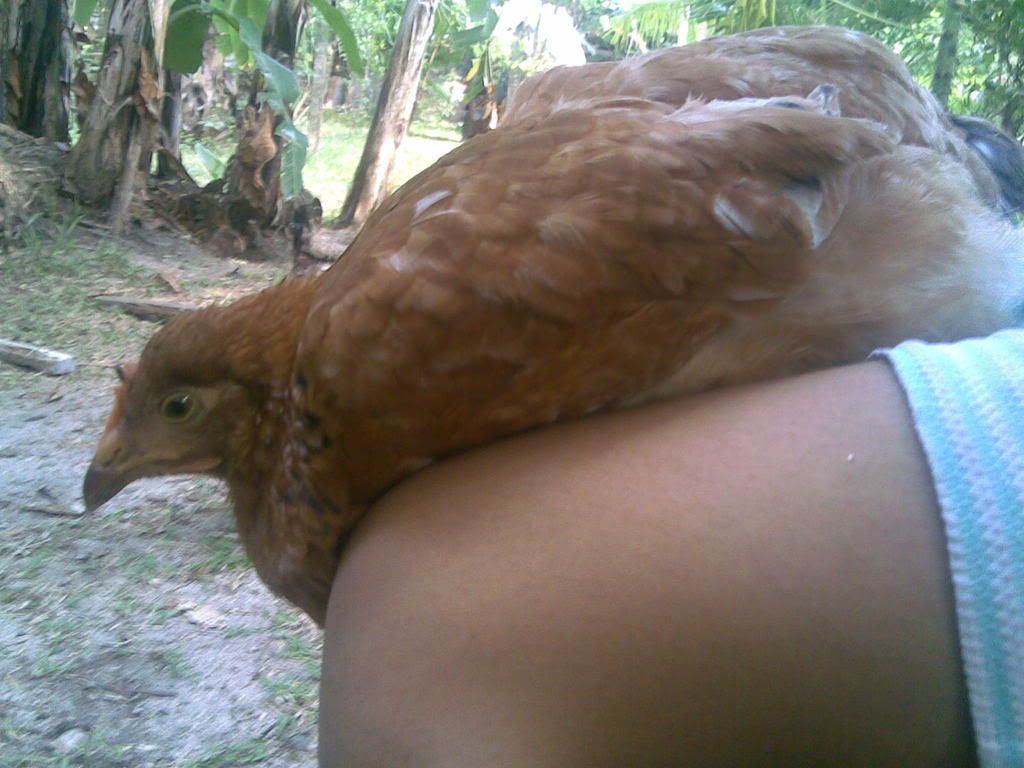 06032008031.jpg