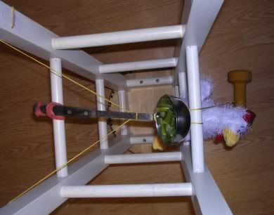 Veggie2.jpg