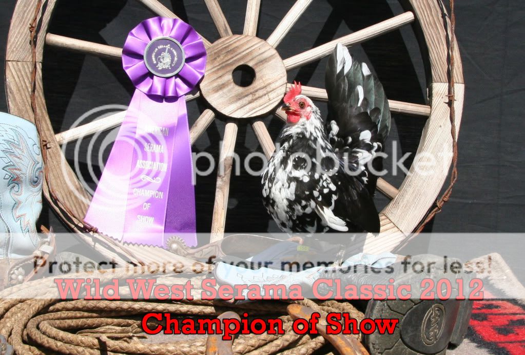 ChampionShow.jpg