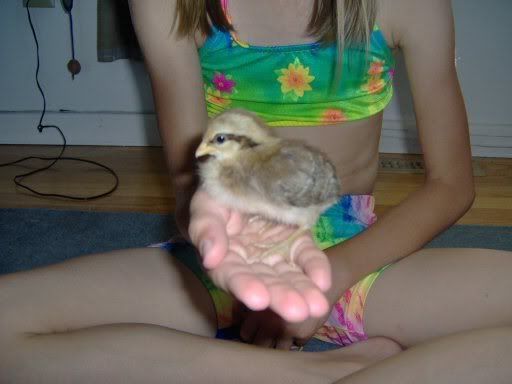 ducksngeese041.jpg