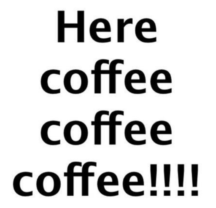 446635f2b53104b2f9de6b8060801afd.jpg