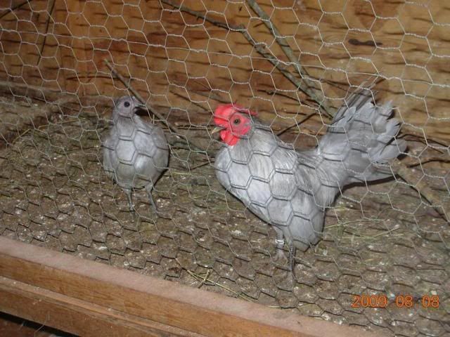DSCN2645.jpg