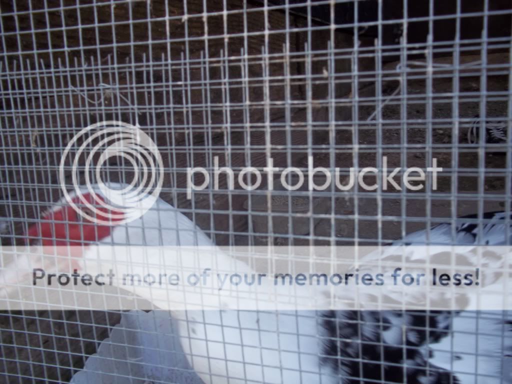 101B0710.jpg