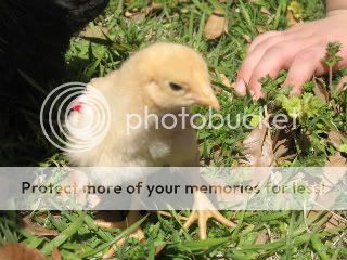 IMG_1692-1.jpg