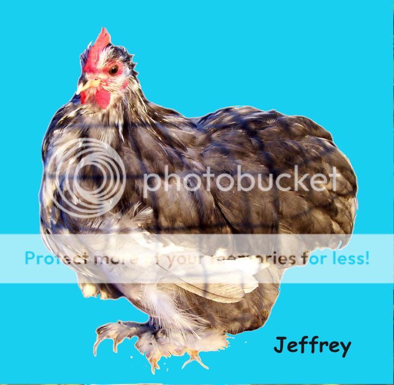 jeffrey10a.jpg