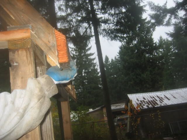 100_0020_2.jpg