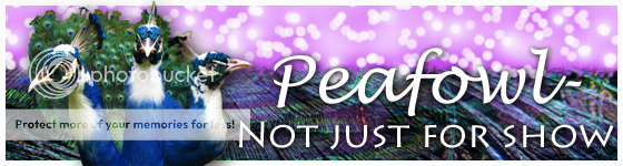 Peafowlnotjustforshow.png