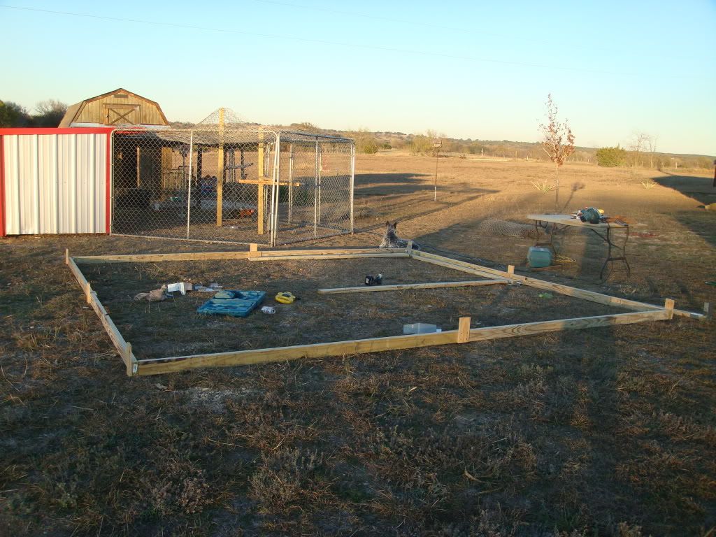 birdbuilding005.jpg