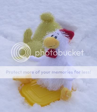 Snow5.jpg