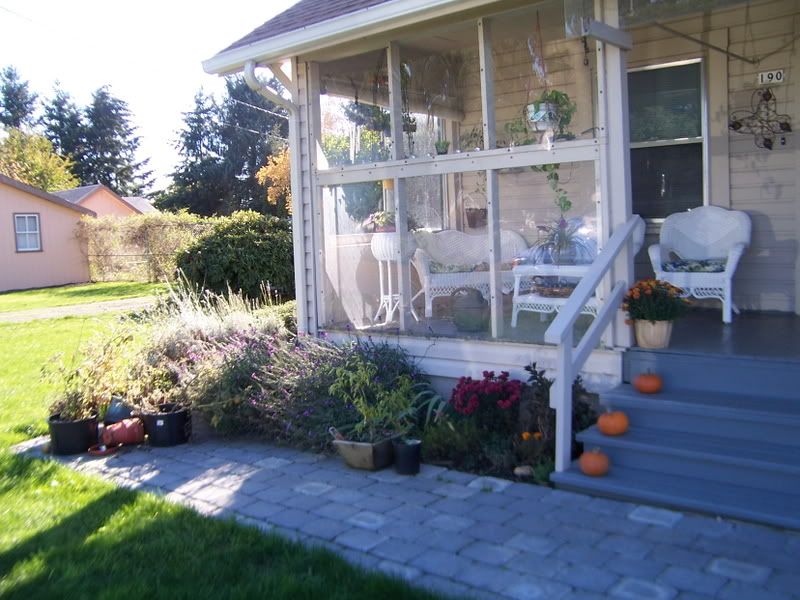 Picture133.jpg