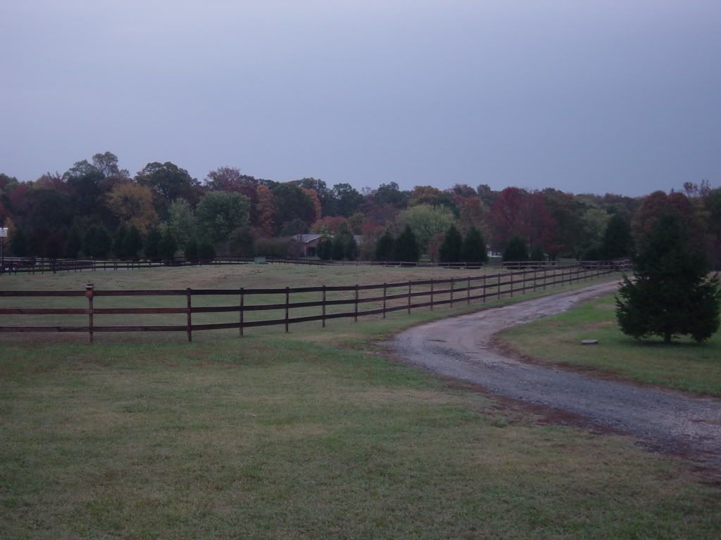 Miscellaneous001.jpg