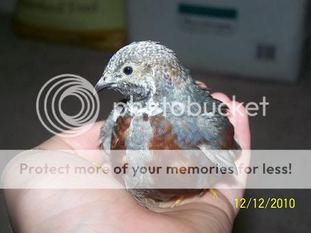100_6265.jpg