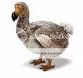 dodo.jpg