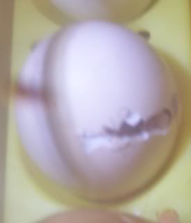 100_1018.jpg