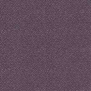PUR3658.jpg