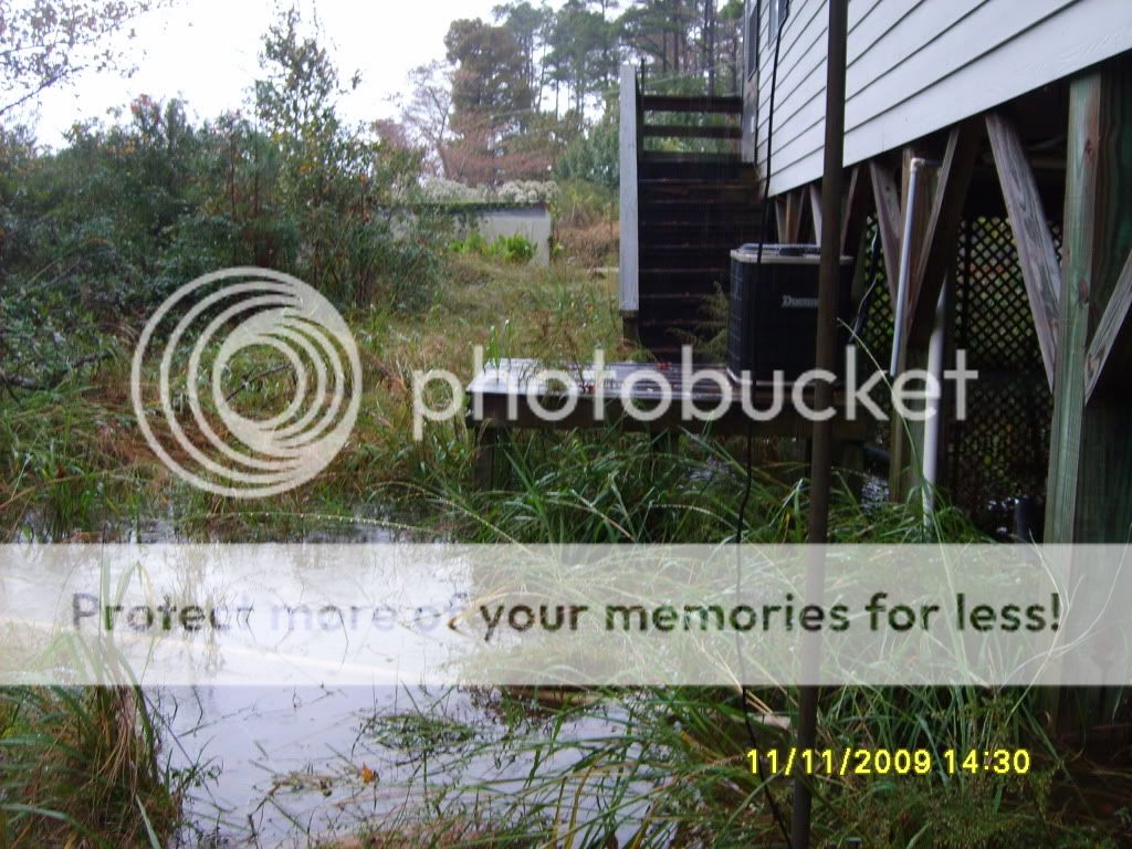 flood013.jpg