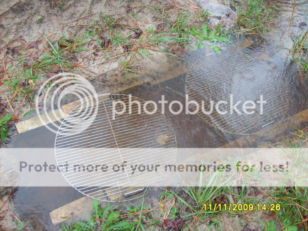 flood005.jpg