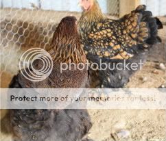 IMG_0209-1-1-1.jpg