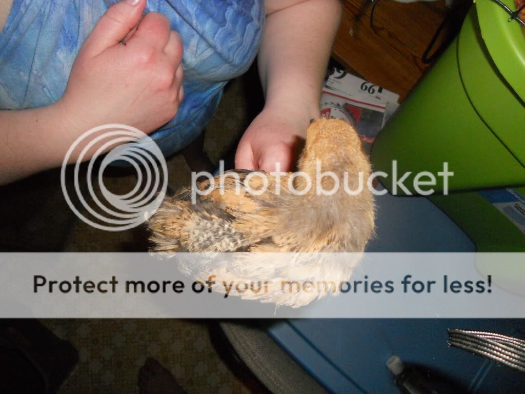 DSCN0335.jpg